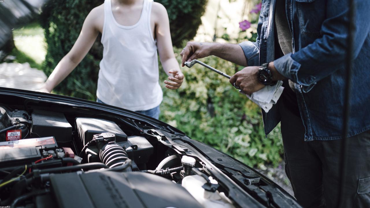 pest animal repellent guide