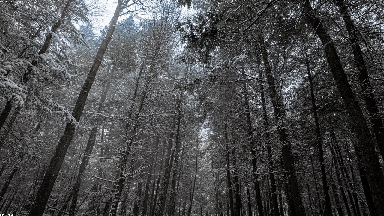 winter studless tire guide