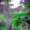 梅雨の湿気・カビ対策完全ガイド｜窓に付いた水滴のイメージ