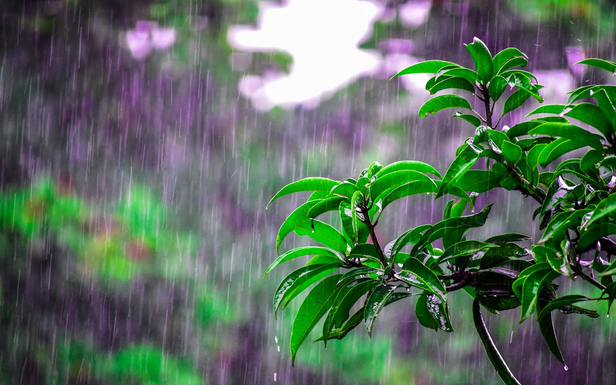 梅雨の湿気・カビ対策完全ガイド｜窓に付いた水滴のイメージ